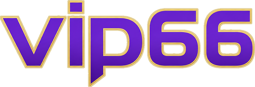 vip66 logo